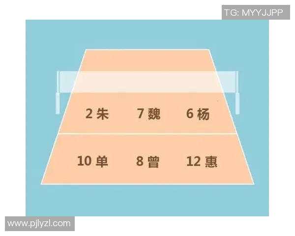 成都排球队防反体系解析与战术创新探讨