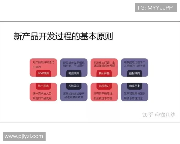 深入分析北京篮球队的运营策略与市场推广模式