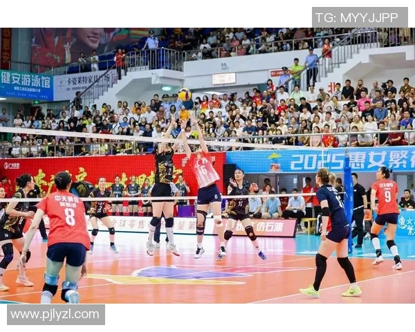 八一女排迎战福建队力争主场胜利展现团队风采