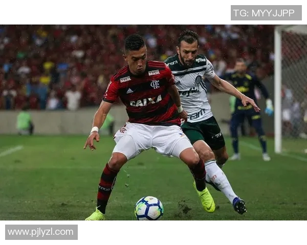 弗拉门戈与布拉干RBds的精彩对决分析与赛后点评