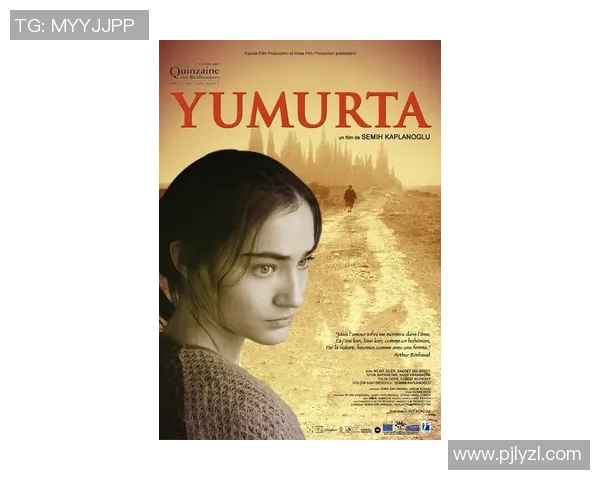 李安：从东方到西方的电影大师之路与艺术探索的心灵旅程