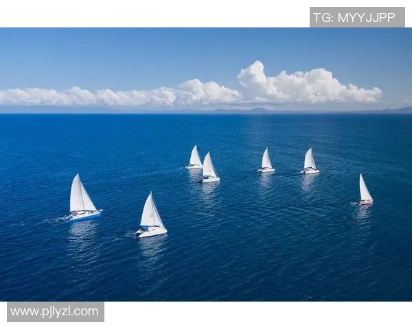 桑乔在绿茵场上的华丽转身与未来发展潜力的深度解析与展望 桑乔在绿茵场上的华丽转身与未来发展潜力的深度解析与展望