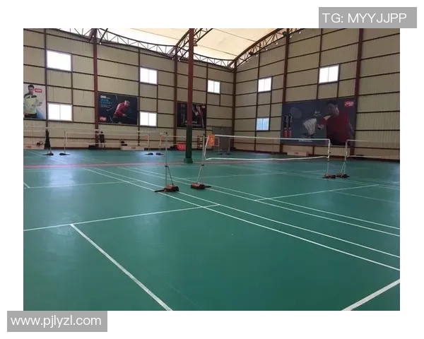 深入探讨上海羽毛球队力量表现的数据分析与训练策略研究