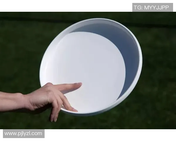 科学飞盘训练：提升心理素质的有效方法与技巧探讨MBA