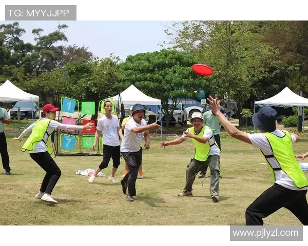 飞盘竞技的魅力：探秘上海飞盘队如何实现全面压制与团队协作