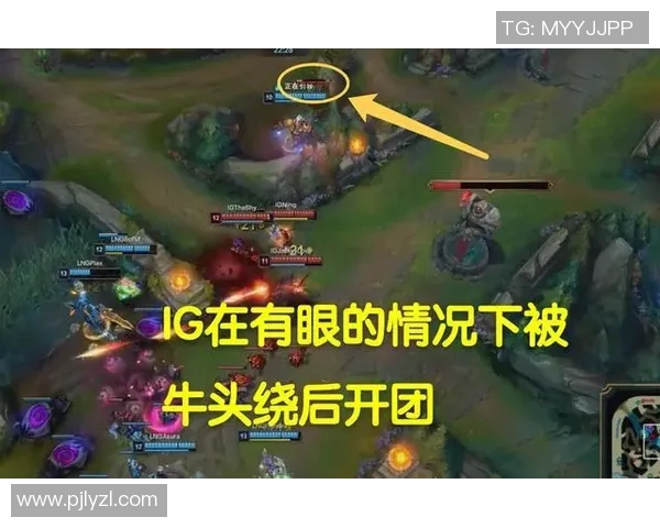 赛后分析：IG与LNG对决中的战术较量与团队协作探讨