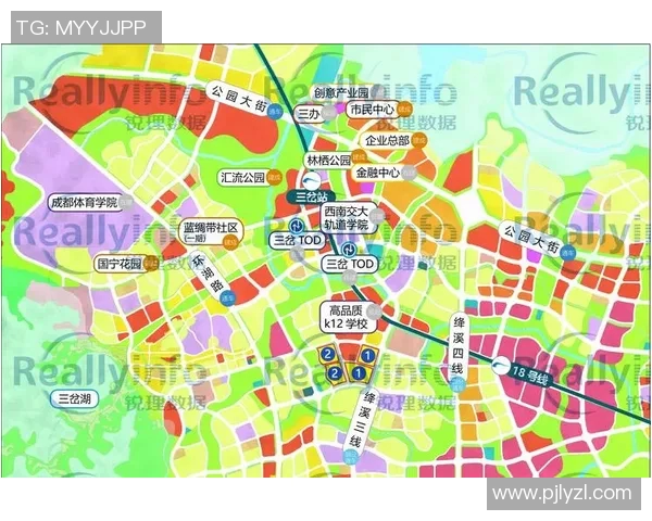 重磅专题：探索成都排球队阵地战革新与战术提升的全新路径