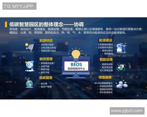 西安网球队技术解析：从基础训练到比赛策略的全面探讨